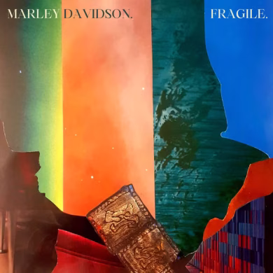 Fragile by Marley Davidson