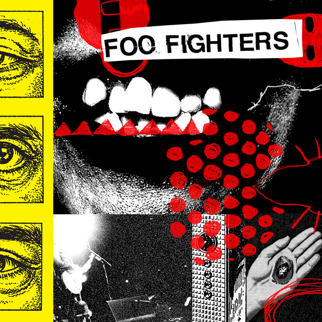 Foo Fighters – Your Favorite Toy Review - Sinusoidal Music